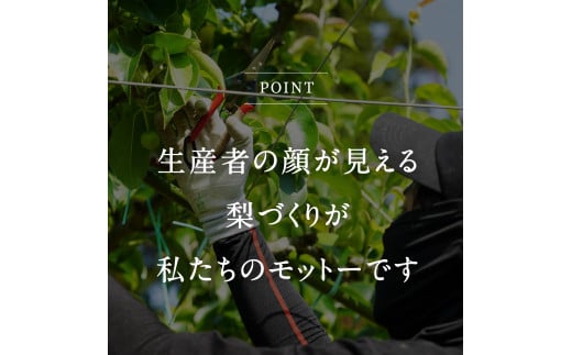 【ID01】鳥取県南部町産　井田農園の二十世紀梨（3kg箱）8月下旬～随時出荷予定