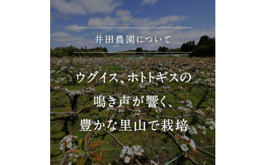 【ID01】鳥取県南部町産　井田農園の二十世紀梨（3kg箱）8月下旬～随時出荷予定