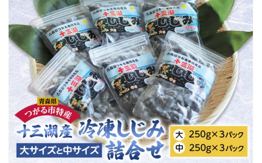 [青森県十三湖産] 冷凍しじみ 大サイズと中サイズ・2種類の詰め合わせセット｜青森 つがる市特産 みそ汁 味噌汁 大和しじみ [0433]