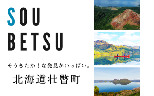 ＜2024年7月上旬よりお届け＞北海道壮瞥産 大作農園のカラフルミニトマト約1.5kg(5種以上) 【 ふるさと納税 人気 おすすめ ランキング トマト とまと ミニトマト アイコ 野菜 おいしい 大容量 北海道 壮瞥町 送料無料 】 SBTR002