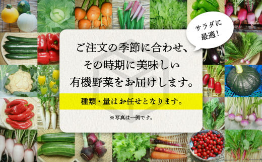 【有機JAS認定サラダ野菜】西田農園　季節の野菜詰合せ　Ｂセット 