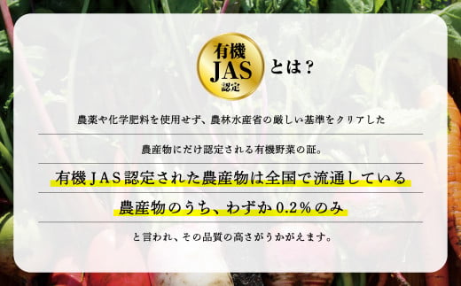 【有機JAS認定サラダ野菜】西田農園　季節の野菜詰合せ　Ｂセット 