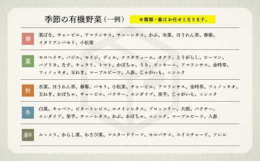 【有機JAS認定サラダ野菜】西田農園　季節の野菜詰合せ　Ｂセット 