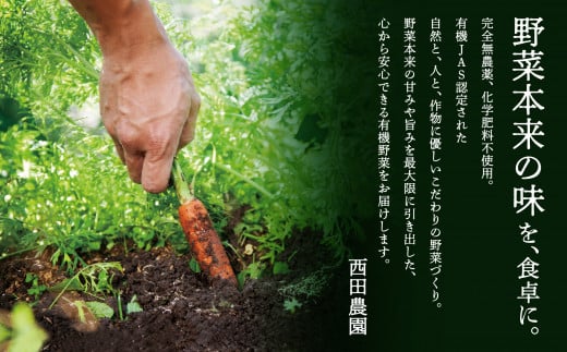 【有機JAS認定サラダ野菜】西田農園　季節の野菜詰合せ　Ｂセット 