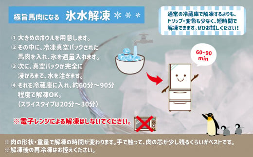 熊本名物 国産 上赤身 馬刺し 400ｇ | 肉 にく お肉 おにく 馬 馬肉 馬刺 名物 熊本県 玉名市