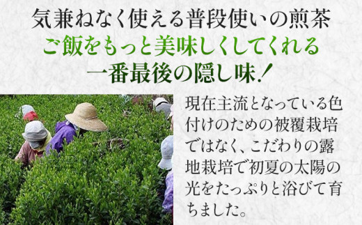 太郎五郎久家茶園 上煎茶「白折」400g 八女 八女茶 煎茶 福岡 お茶