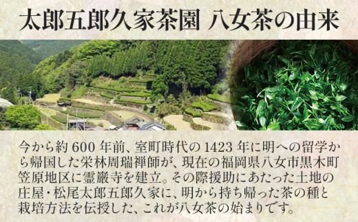 太郎五郎久家茶園 上煎茶「白折」400g 八女 八女茶 煎茶 福岡 お茶