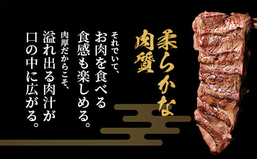 【 年内お届け 】【 厚切り 】牛 ハラミステーキ 年内発送【1㎏】500ｇ×2  【2024年12月18日～28日発送】焼肉 ハラミ 焼き肉 はらみ 塩味 牛肉 肉 冷凍 小分け パック キャンプ バーベキュー 年内配送 年内発送 067-0671-R612