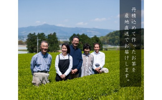 福本園　厳選セットC ／ ふかむし茶 お茶 緑茶 銘茶 熊本県 特産品