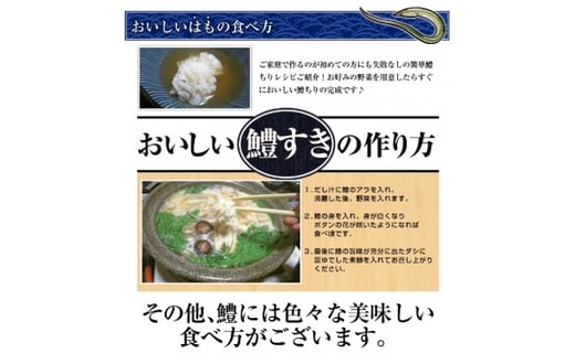 淡路島名物！風味豊かな天然鱧すきセット（４～５人前） ◆配送5月20日～9月30日