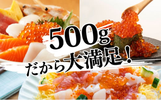 絶品!いくら醤油漬け 500g B-988