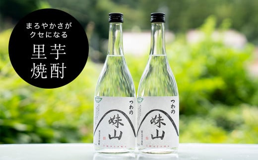 特産のとろりとしてねばりけのある里芋でつくった里芋焼酎＜大(720ml)×2本＞【1341167】