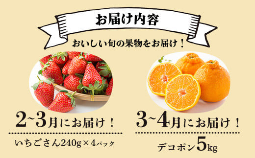 【定期便 5回】鹿島からお届けフルーツ定期便 5ヶ月 果物 いちご イチゴ 苺 なし 梨 みかん 柑橘 くだもの セット バラエティ デコポン ぽんかん ポンカン いよかん 伊予柑 H-31