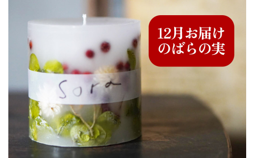 《定期便全4回》配送月固定 ボタニカル キャンドル  全4個（1個×4回お届け）【3ヶ月に1回お届け 3月 6月 9月 12月】【レビューキャンペーン】