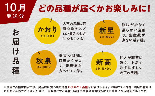 梨 5kg 採れたて あきた梨 幸水 あきづき 南水 かおり 秋泉 秀玉 新星 新高 10～18玉前後 旬 果物 くだもの フルーツ なし 冷蔵 送料無料 お取り寄せ 秋田県産 秋田 潟上市 《9月初旬～10月下旬より順次発送》 【加賀谷農園】