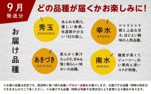 梨 5kg 採れたて あきた梨 幸水 あきづき 南水 かおり 秋泉 秀玉 新星 新高 10～18玉前後 旬 果物 くだもの フルーツ なし 冷蔵 送料無料 お取り寄せ 秋田県産 秋田 潟上市 《9月初旬～10月下旬より順次発送》 【加賀谷農園】