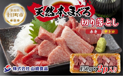 天然 本マグロ 切り落とし 赤身 中トロ 150g×2パック 計300g 本まぐろ クロマグロ 中とろ 冷凍 まぐろ 鮪 海鮮 刺身 海鮮丼 手巻き寿司 お取り寄せ グルメ 送料無料 新潟県 十日町市