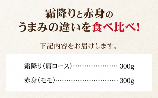 ＜和牛最高級ブランド＞佐賀牛 赤身＆霜降り スライス食べ比べセット 吉野ヶ里町/ミートフーズ華松 [FAY090]