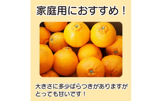 先行予約 訳あり 不知火 約3kg L～2L しらぬい デコポン みかん 蜜柑 果物 フルーツ 柑橘 オレンジ ゼリー ジュース アイス ケーキ デザート スイーツ ジャム 糖度 甘い 不揃い 混合 ビタミン 美容 健康 送料無料 徳島県 阿波市 山中農園