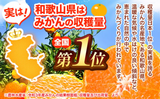 有田みかん果汁 100% ジュース 味皇 あじおう 720ml×2本 株式会社魚鶴商店《30日以内に出荷予定(土日祝除く)》 和歌山県 日高町 オレンジジュース フルーツジュース 100% 柑橘