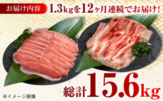 【月1回約1.3kg×12回定期便】大西海SPF豚 背ロース＆バラ（しゃぶしゃぶ用）計15.6kg 長崎県/長崎県農協直販 [42ZZAA111] 肉 豚 ぶた ブタ ロース バラ 豚バラ しゃぶしゃぶ 食べ比べ 西海市 長崎 九州 定期便