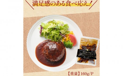 【定期便】肉汁あふれるデミグラスハンバーグ12個入　3ヶ月定期便