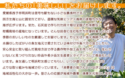 ＜《4月発送》旬をお届け！河内晩柑 約7kg＞ みかん ミカン 蜜柑 果物 柑橘類 果実 オレンジ フルーツ かわちばんかん カワチバンカン 15～20個前後 特産品 国産 明浜産 二ノ宮商事 愛媛県 西予市【常温】