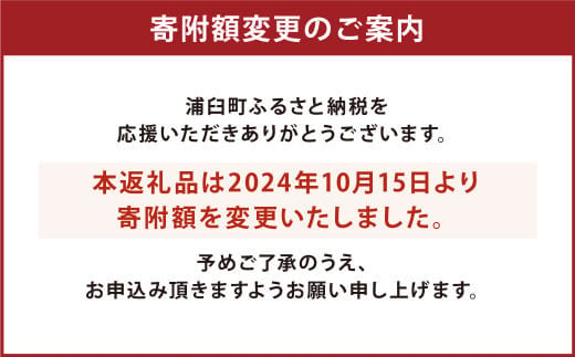 【8回定期便】浦臼産 ふっくりんこ 精白米 10kg（5kg×2袋）