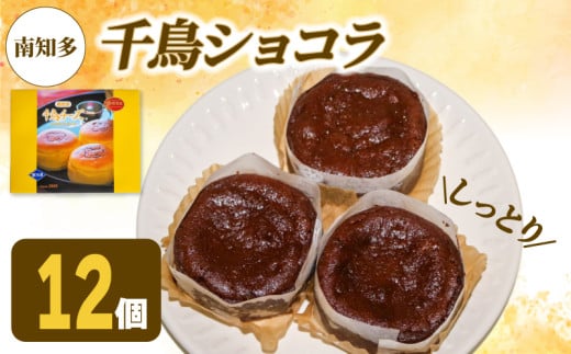 アルザス 選べる 千鳥ショコラ 12個 冷凍 ガトーショコラ チョコケーキ 愛知県 南知多町