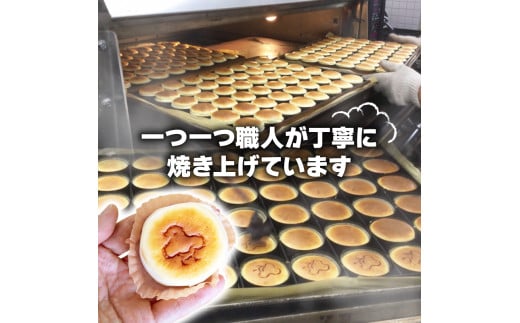 アルザス 選べる 千鳥ショコラ 12個 冷凍 ガトーショコラ チョコケーキ 愛知県 南知多町