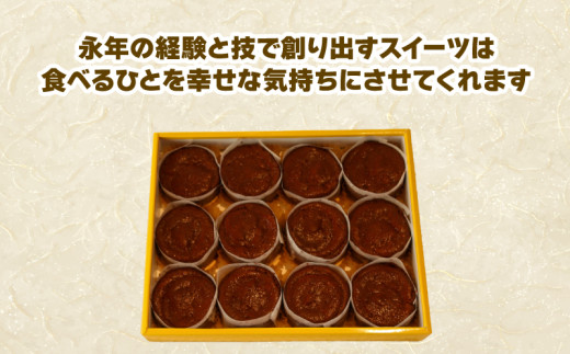 アルザス 選べる 千鳥ショコラ 12個 冷凍 ガトーショコラ チョコケーキ 愛知県 南知多町