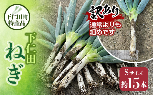 訳あり（家庭用）下仁田町特産「下仁田ねぎ」（Sサイズ 15本） とろける 甘い ねぎ ネギ 王様ねぎ 特産 栄養たっぷり ブランド 上州ねぎ すきやき F21K-184