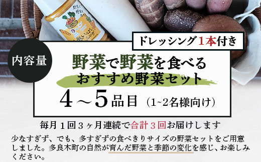 【3回定期便】野菜ソムリエ 監修 野菜で野菜を食べる  野菜セット  (1〜2名様向け)