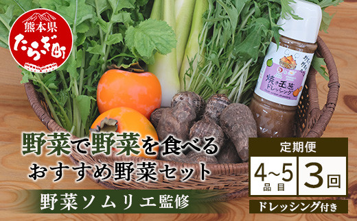 【3回定期便】野菜ソムリエ 監修 野菜で野菜を食べる  野菜セット  (1〜2名様向け)