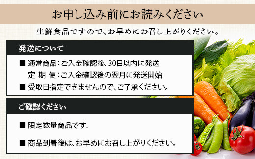 【3回定期便】野菜ソムリエ 監修 野菜で野菜を食べる  野菜セット  (1〜2名様向け)