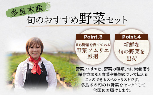 【3回定期便】野菜ソムリエ 監修 野菜で野菜を食べる  野菜セット  (1〜2名様向け)