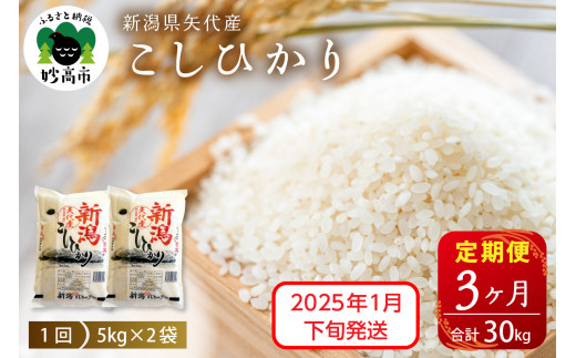 【2025年1月下旬発送】【定期便】令和6年産 新潟県矢代産コシヒカリ10kg(5kg×2袋)×3回（計30kg）