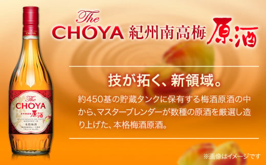 【先行予約】贅沢アソート Gold Edition 500ml 限定熟成梅酒 720ml The CHOYA 紀州南高梅原酒 700ml 羽曳野商工振興株式会社《12月中旬より出荷予定(土日祝除く)》大阪府 羽曳野市 送料無料 梅酒 梅 酒 CHOYA チョーヤ チョーヤ梅酒 お酒 熟成 限定