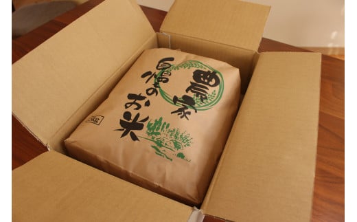 【新米出荷中！】 令和6年産 「信濃町産 あきたこまち 20kg」 仁の蔵の新米をお届け ☆2024年産  名水弘法清水が湧き出る黒姫山麓で育った自慢のお米です！【長野県信濃町ふるさと納税】