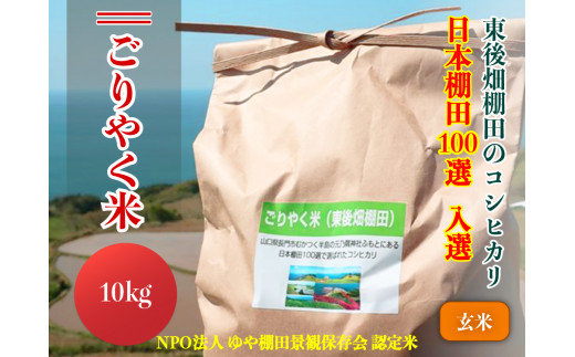 「ごりやく米」東後畑棚田こしひかり 玄米 10kg　棚田米