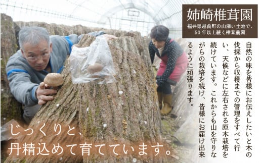 【先行予約】 原木生椎茸「香福茸」6～8個 高級 極上の逸品！調理レシピ有 【2025年1月上旬～2月下旬の間で順次発送予定】 [e06-b002]