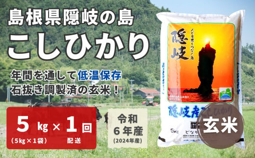 1704　【令和6年産】隠岐産 こしひかり 玄米 5kg（5kg×1 袋）