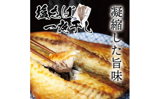 宮城県石巻産＜金華物 鯖刺と塩さば一夜干しセット＞CAS冷凍・養殖【1452000】