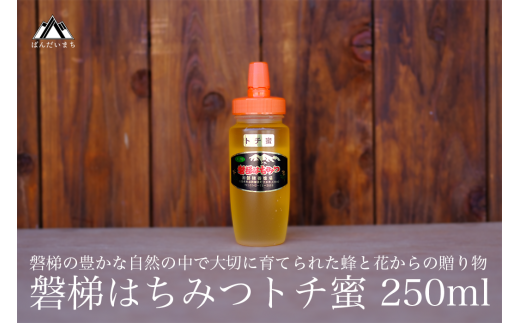 国産純粋はちみつ 天然 磐梯養蜂 磐梯はちみつ 250g［チューブ］ トチはちみつ トチみつ トチ蜜 蜂蜜 ハチミツ はちみつ HONEY ハニー 国産 産地直送 無添加