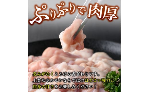 博多和牛もつ鍋用ホルモン 自家製焼肉のたれ付(500g) 牛肉 和牛 博多和牛 国産 ホルモン もつ モツ もつ鍋 ＜離島配送不可＞【ksg1291】【くしだ企画】