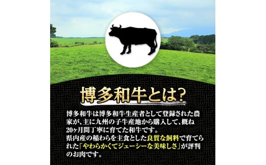 博多和牛もつ鍋用ホルモン 自家製焼肉のたれ付(500g) 牛肉 和牛 博多和牛 国産 ホルモン もつ モツ もつ鍋 ＜離島配送不可＞【ksg1291】【くしだ企画】