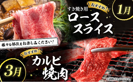 宮崎県産黒毛和牛 4か月定期便 牛肉 焼肉 ステーキ 国産【E127-25】