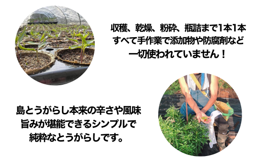 激辛注意！！草加産島とうがらし粗挽き一味5本セット | 埼玉県 草加市 創業48年 島唐辛子 自家採種 爽やかな辛味  無添加 やみつき 農園 自家製唐辛子 麻婆豆腐 料理 激辛 韓国 韓国料理 夏 スパイス 発汗 健康 ダイエット