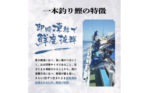 1本釣り血合抜き炭焼鰹たたき1.2kg 2種類のタレ付 　A3-123【1166307】