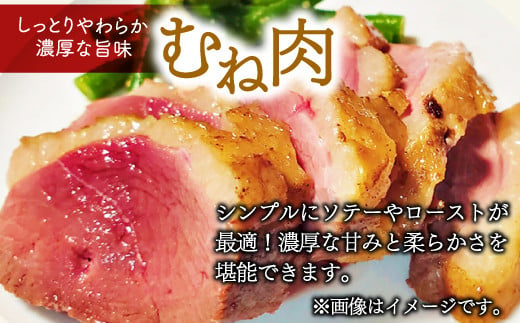 しっとりやわらかいむね肉は、シンプルにソテーやローストが最適。濃厚な甘みと柔らかさを堪能できます。